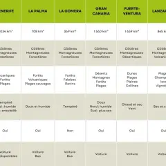 Tableau comparatif des îles Canaries : superficie, randonnées, paysages, climat, activités enfants et déplacements.