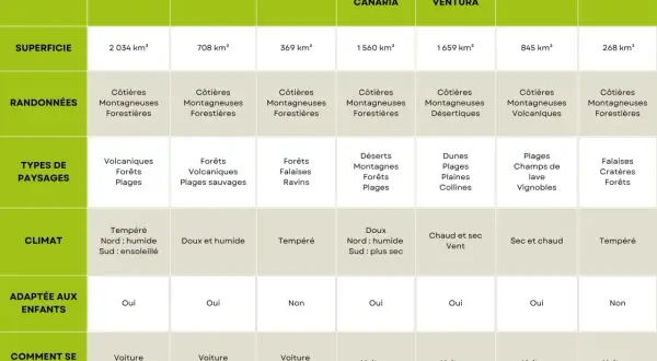 Tableau comparatif des îles Canaries : superficie, randonnées, paysages, climat, activités enfants et déplacements.