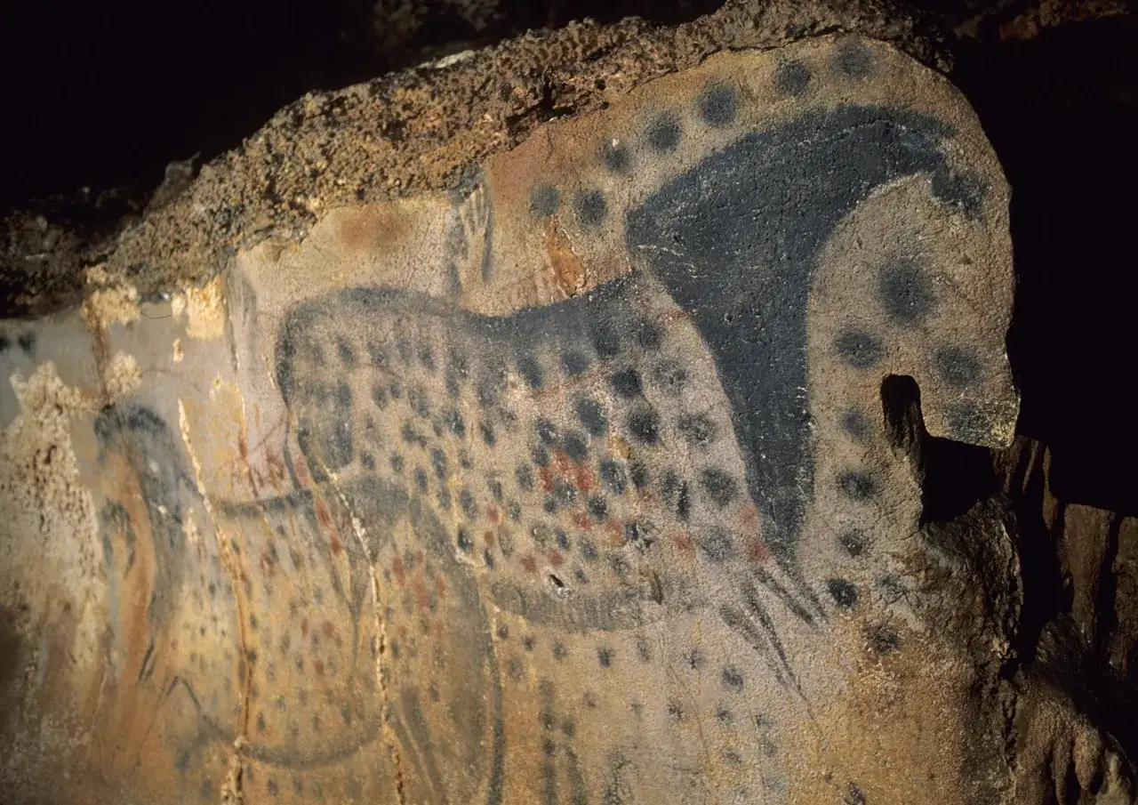 Peintures rupestres des grottes du Pech Merle : un cheval noir tacheté de points noirs et rouges, aux allures de bison, sur fond ocre.