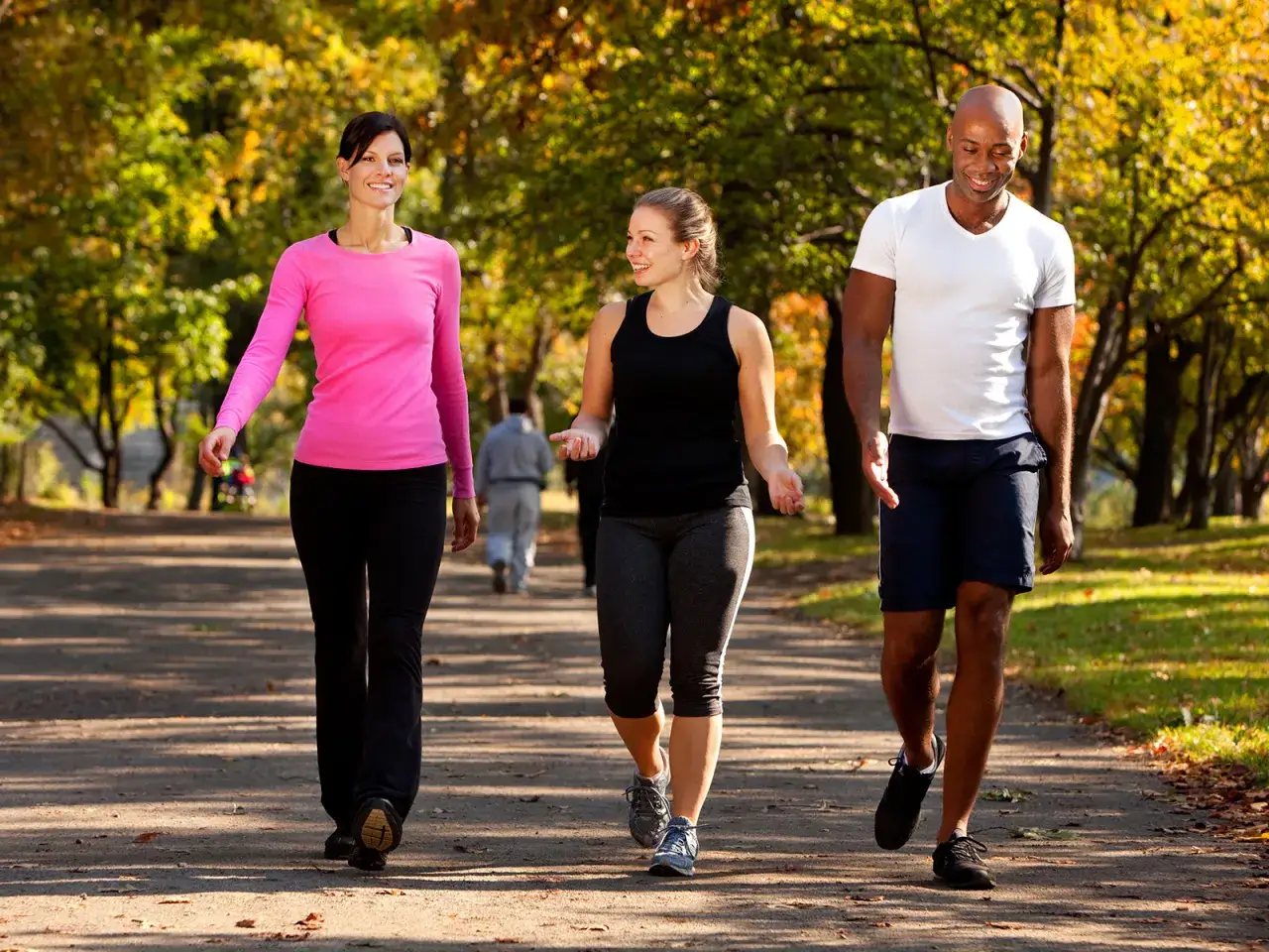 Trois amis profitent d'une belle journée d'automne pour marcher 8 km par jour dans un parc.