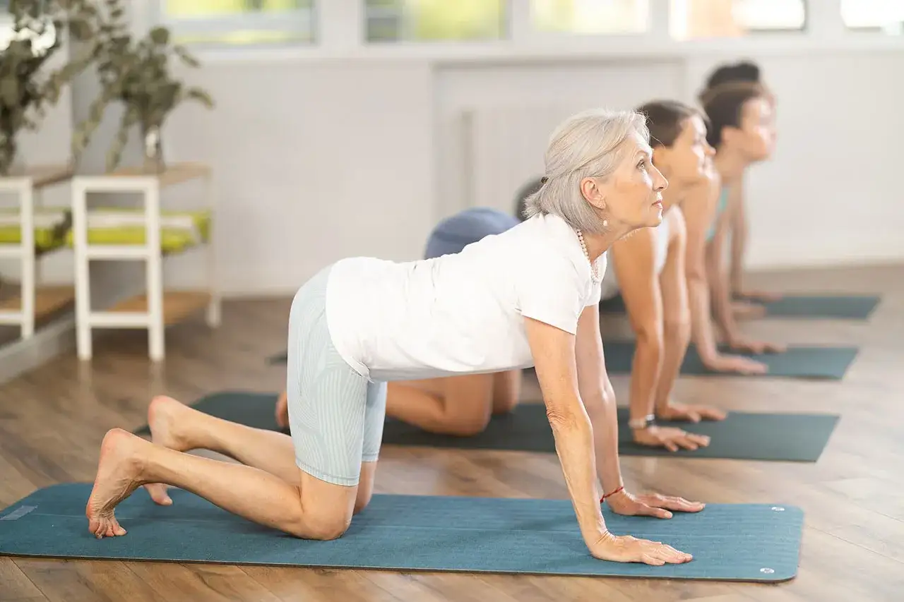 Des femmes en posture de yoga, renforçant leur muscle du dos.