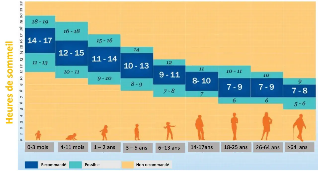 Graphique illustrant le temps de sommeil par &acirc;ge, du nourrisson &agrave; la personne &acirc;g&eacute;e. Les heures recommand&eacute;es varient selon les tranches d'&acirc;ge.