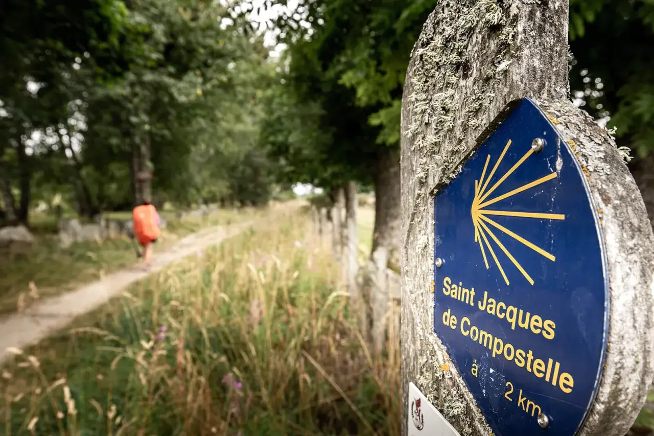 Panneau bleu du chemin de Compostelle sur un poteau en bois moussue. Un pèlerin au loin suit le sentier.