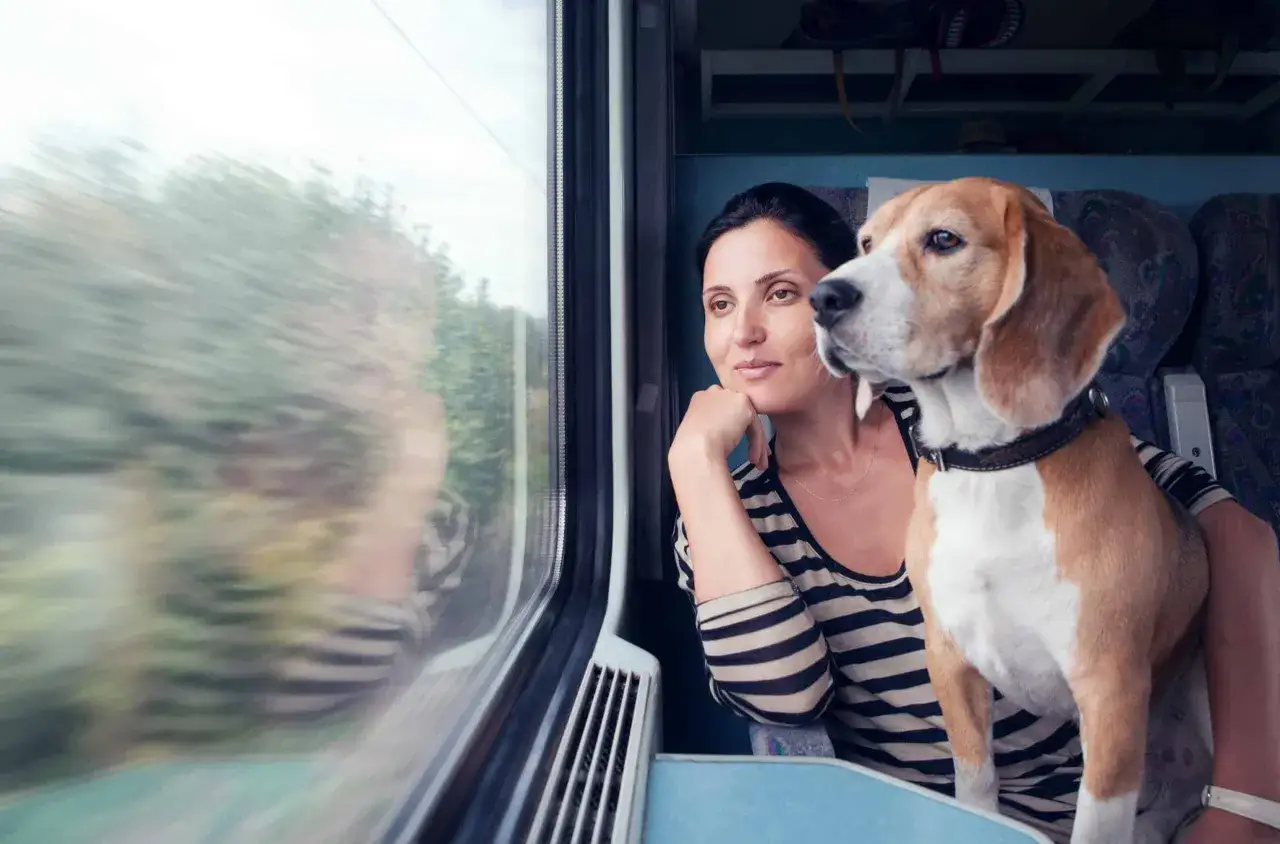 Une femme et son chien regardent par la fenêtre d'un train, prêts à partir en vacances avec son chien.