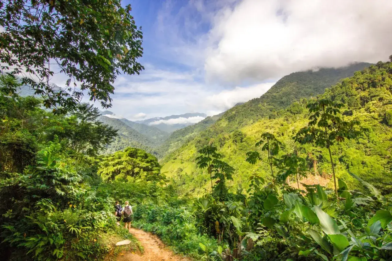 Deux randonneurs explorent un sentier verdoyant, profitant d'une vue imprenable sur les montagnes luxuriantes lors de leur randonnée en Colombie.