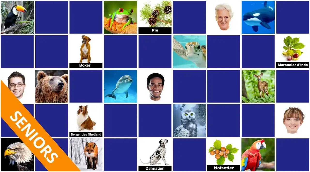 Jeu de m&eacute;moire dur : toucan, grenouille, pin, boxer, tortue, marronnier d'Inde, ours, dauphin, cerf, hibou, aigle, renard, dalmatien, noisette, ara.